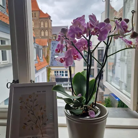 Charmante Im Herzen Von Apartment *